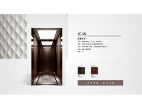 臨沂別墅電梯 臨沂別墅電梯